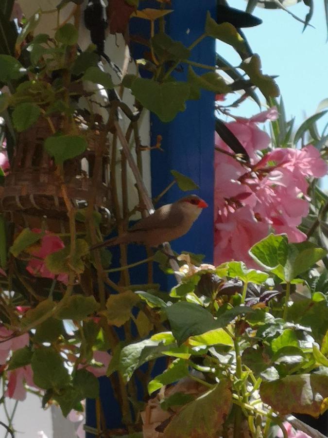 Yumbo Room Maspalomas  Zewnętrze zdjęcie