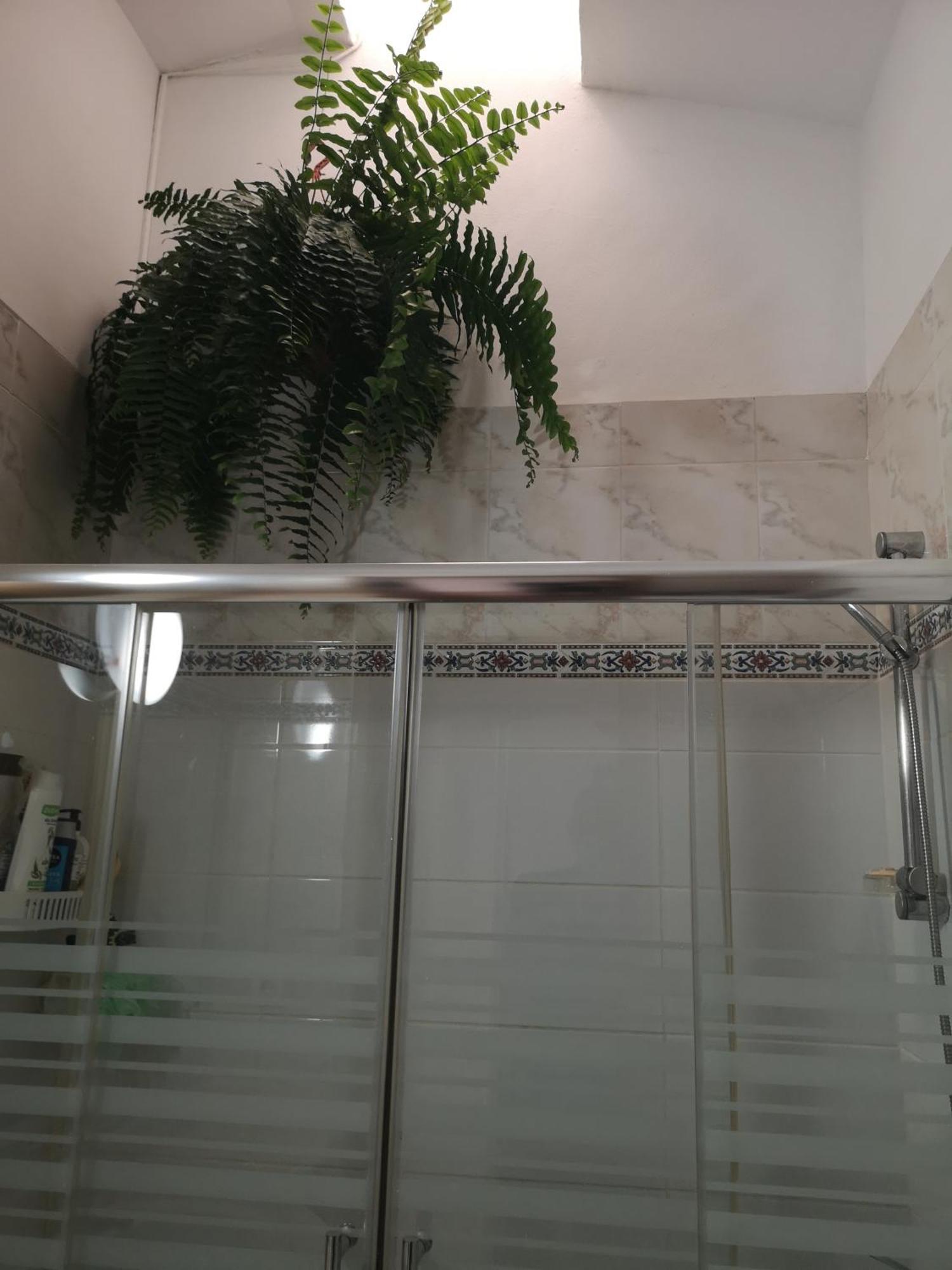Yumbo Room Maspalomas  Zewnętrze zdjęcie
